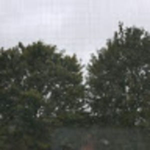 Meet your Posher, Joy